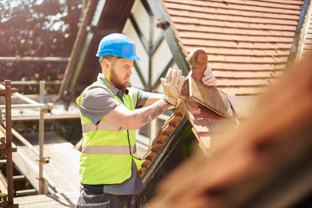 Best Metal Roofing Contractor  in Jackson, OH